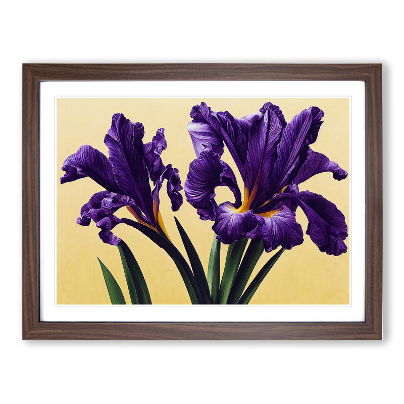 Majestic Iris Flowers 1 Piece Single Picture Frame Wall Art, 25cm H x 34cm W x 2cm D, Walnut