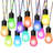Outdoor String Lights With Dimmable Warm White LED Bulbs (Set Of 12)