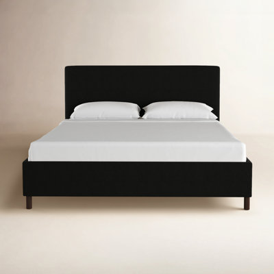 Eisley Cotton Upholstered Bed
