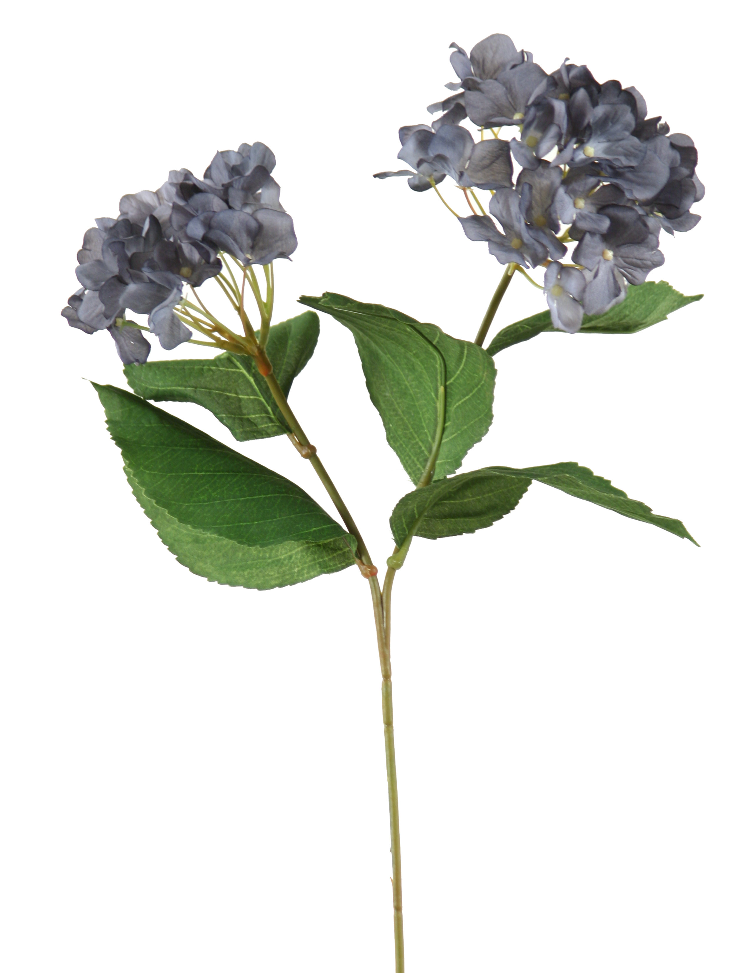 Hydrangea Stalk Primrue Antique New Hydrangea Stem & Reviews | Wayfair