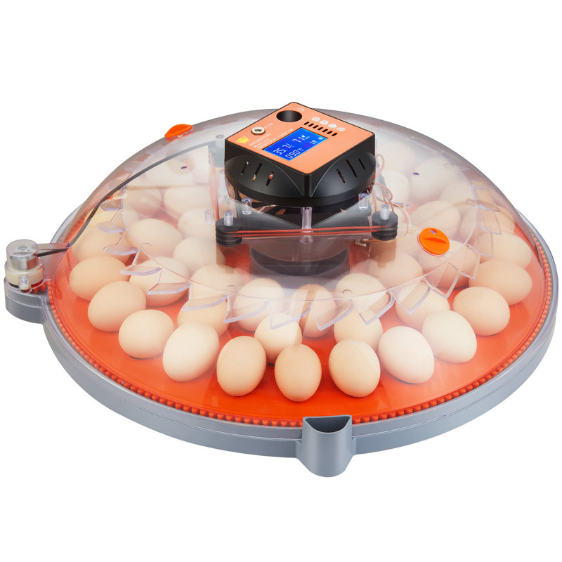 Incubateur à œufs, Incubateurs à couver, Œuf automatique 360 °, Incubateur à 40 œufs