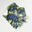 Tapisserie murale «Fruit Blueberry Wild»-133645827