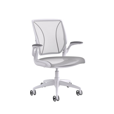 World Mesh Task Chair