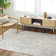 Oriental Indoor Rug