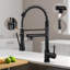 HGN Kitchen Faucet-100477274