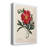 " Red Botanical IV "-1090106722