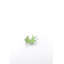Dove Dish Vanity Tray-1737696014