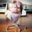 Coussin Schafer-804711664-804711677