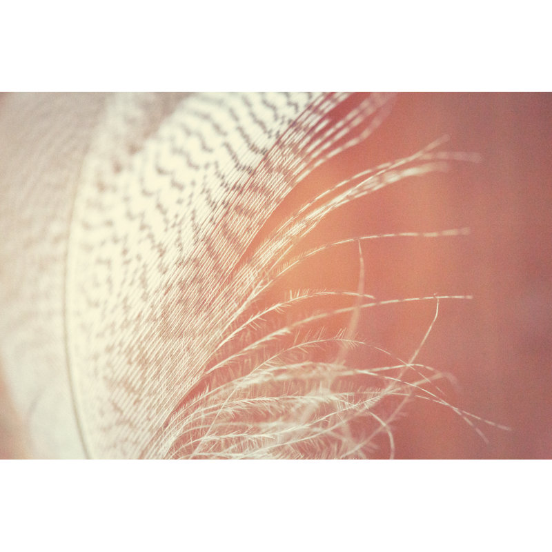 Feather, 61cm H x 91cm W x 3.8cm D