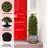 Artificial Topiary Boxwood Tree In Black Plastic Pot-150556495