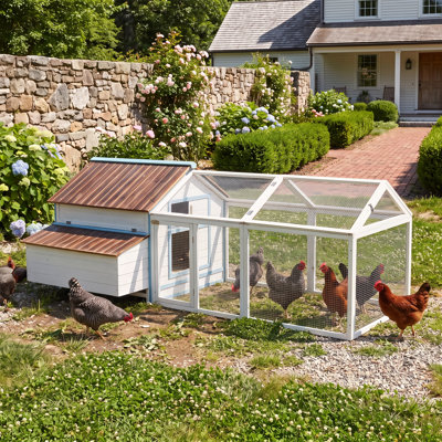 Yarrow  Rustic Fir Wood Chicken Coop with Spacious Exercise Run, Nesting Box & Secure Access Doors