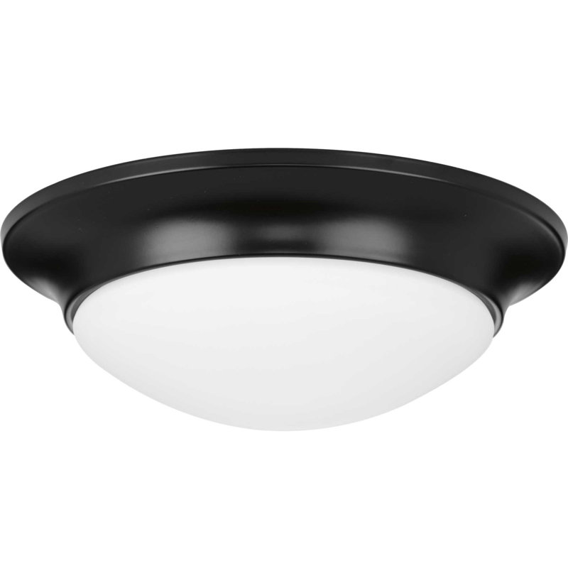 Stoutland Glass Semi Flush Mount, Black