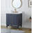 Coriena 30'' Single Bathroom Vanity with White Quartz Top