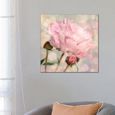 Peony Buds - Wrapped Canvas Painting