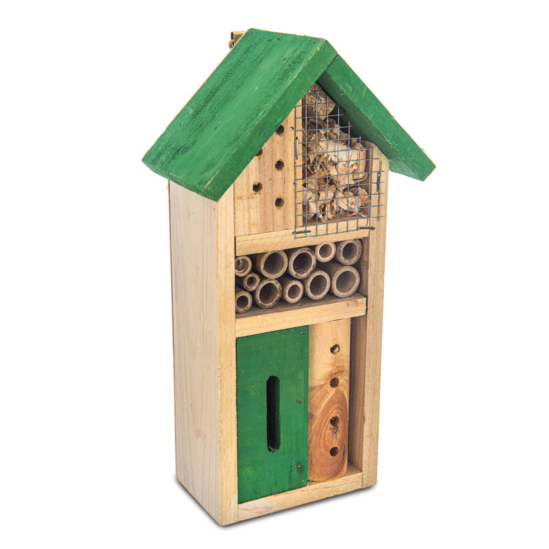 Magana Mounted Butterfly House