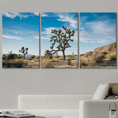Joshua Tree, désert, parc national, paysage, nature sauvage, photographie, art moderne, rustique