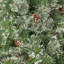 Arbre mélangé 7 'en cachemire et poils de neige avec cônes 75 pins - UL, 1233 pointes, diamètre: 59-103718626-103718627
