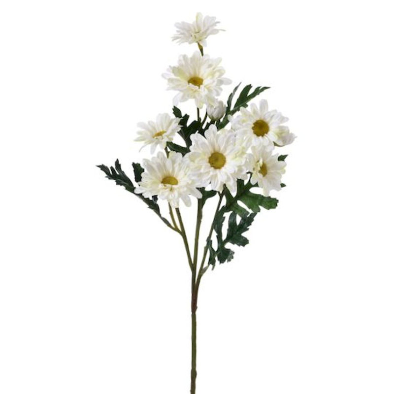 Marguerite