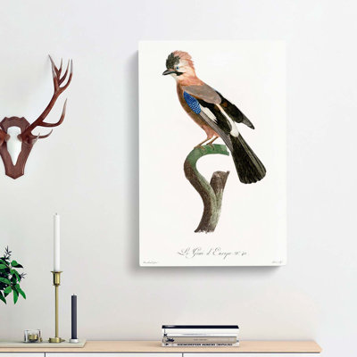 Eurasian Jay Bird by Jacques Barraband - Wrapped Canvas