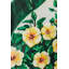 Floral Wallpaper by Melissa Cabrera-1778559743