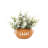 4.75'' Faux Eucalyptus Plant in Ceramic Decorative Vase