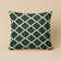 Indoor and Outdoor Throw Pillow