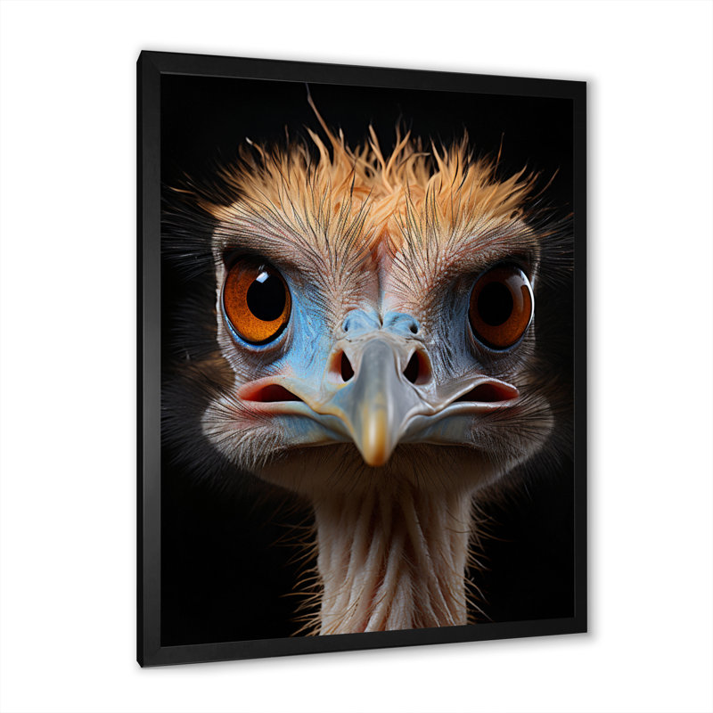 Autruche africaine - autruches, art mural, H 20 po x l 12 po x P 1 po, Cadre photo noir
