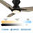 Vant 44'' Ceiling Fan with LED Lights