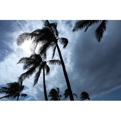Hurricane Storm par Yinyang