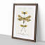 Butterfly Illustrations PL. 3 by Charles d' Orbigny - Picture Frame Graphic Art Print on MDF-55513276-55513277