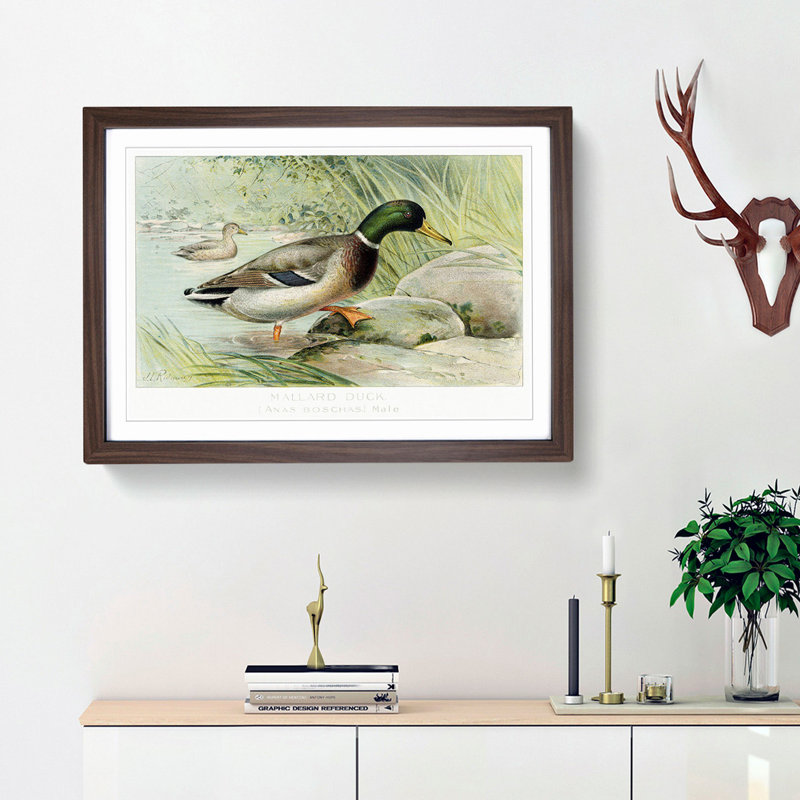 Mallard Duck by J.L. Ridgway - Picture Frame Art Print, Walnut Framed, 36cm H x 48cm W x 2cm D