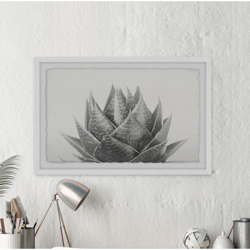 Dawkins - Cadre photo, impression sur papier, H 30 po x l 45 po x P 1,5 po, Cadre blanc