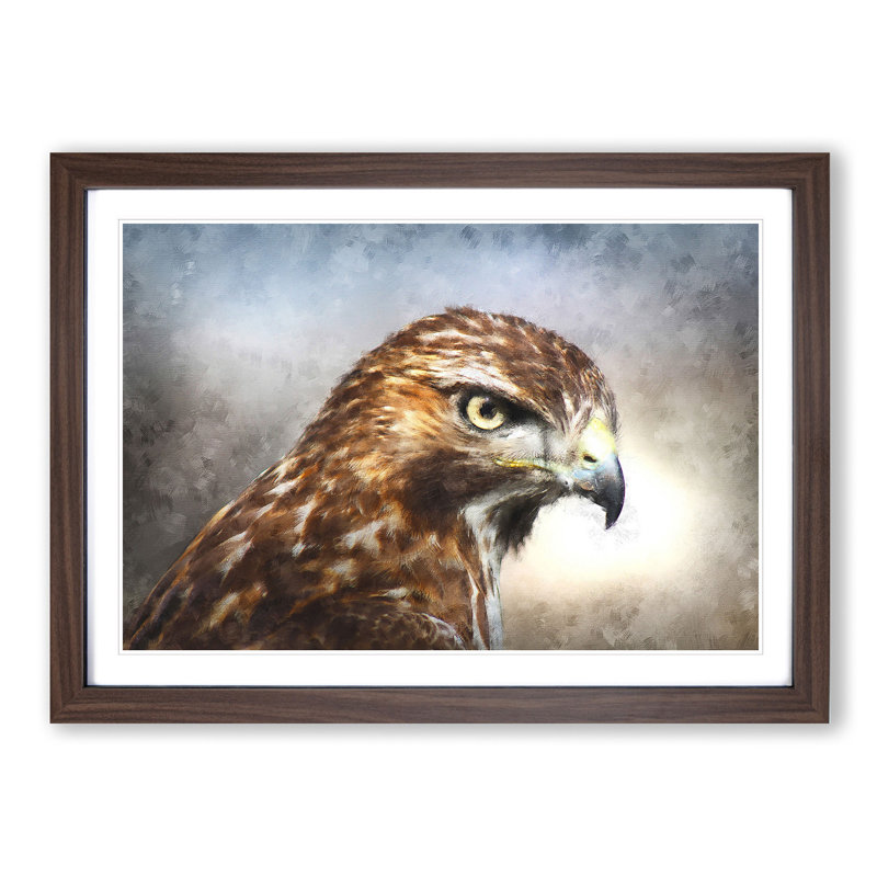 Hawk - Picture Frame Painting Print, 62cm H x 87cm W x 2cm D, Walnut Framed