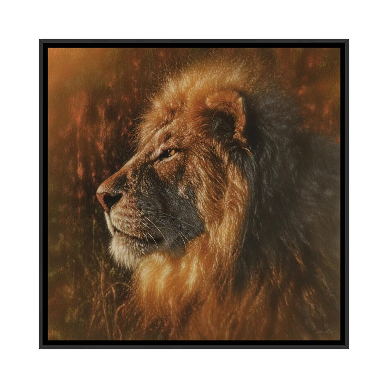 Sunbathing Lion - Square - Reproduction d'art murale - Toile encadrée, Noir, H 18 po x l 18 po