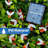 Keemia 30 - Bulb 60'' Solar Powered Novelty String Light