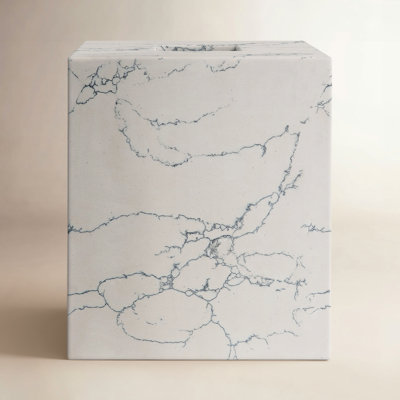 Paca Tissue Box Cover Bathroom Tray Tumbler
