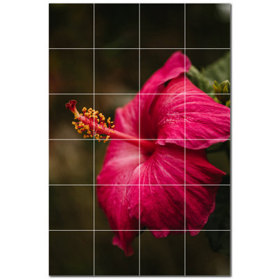 Picture-Tiles.com PT500635-46L