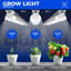 Naomi Grow Light