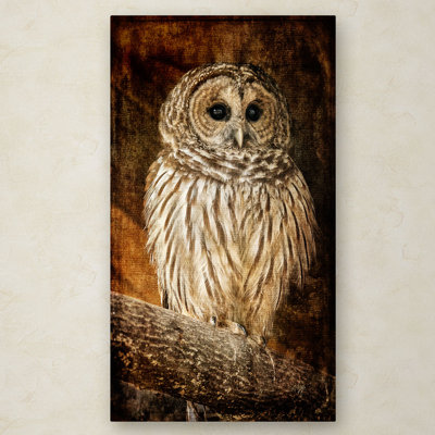 " Wisdom " by Lois Bryan