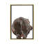 Art hippopotame-49839954-49839943