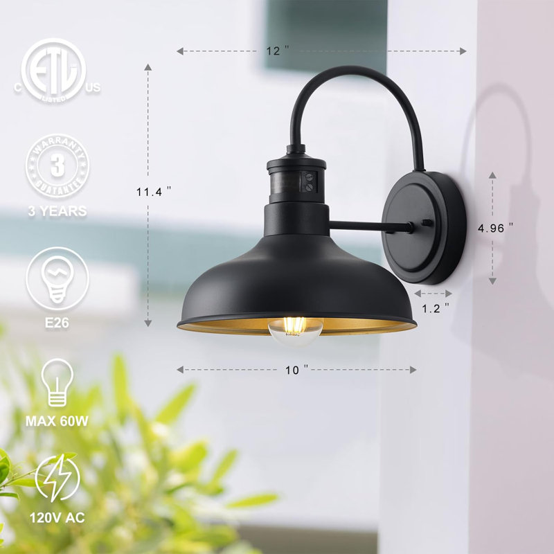 Adachi Wall Light, 11.4" H x 10" W x 12" D