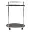 Santibanez Metal Bar Cart-1866859706