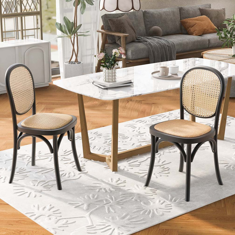 Chaises d'extérieur en osier PE, Noir