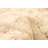 Gwenora One-of-a-Kind 5'7" X 7'9" New Age Wool Area Rug in Cream