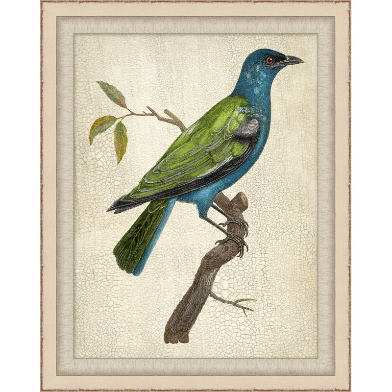 Blue Birds 7 - Peinture encadrée sur papier