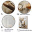 Minimalisme, écureuil, peinture beige II-1436993616-1436993623