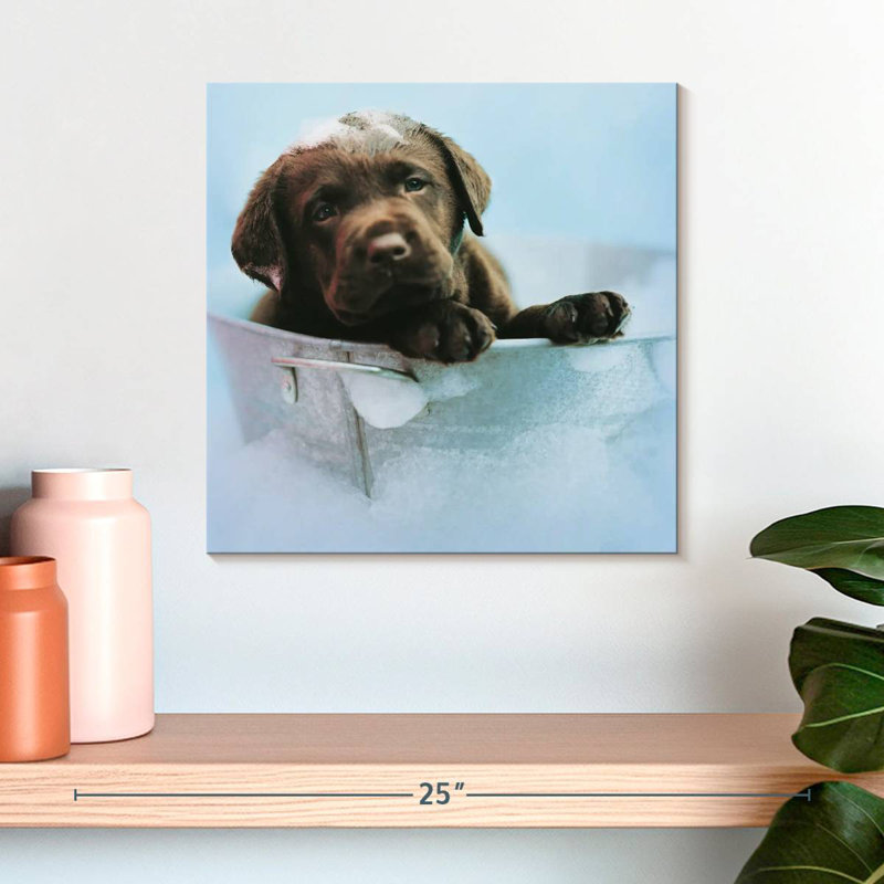 Brampt Beau The Dog, 16" H x 16" W