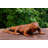 Maydene Animals Decorative Object-1604606258
