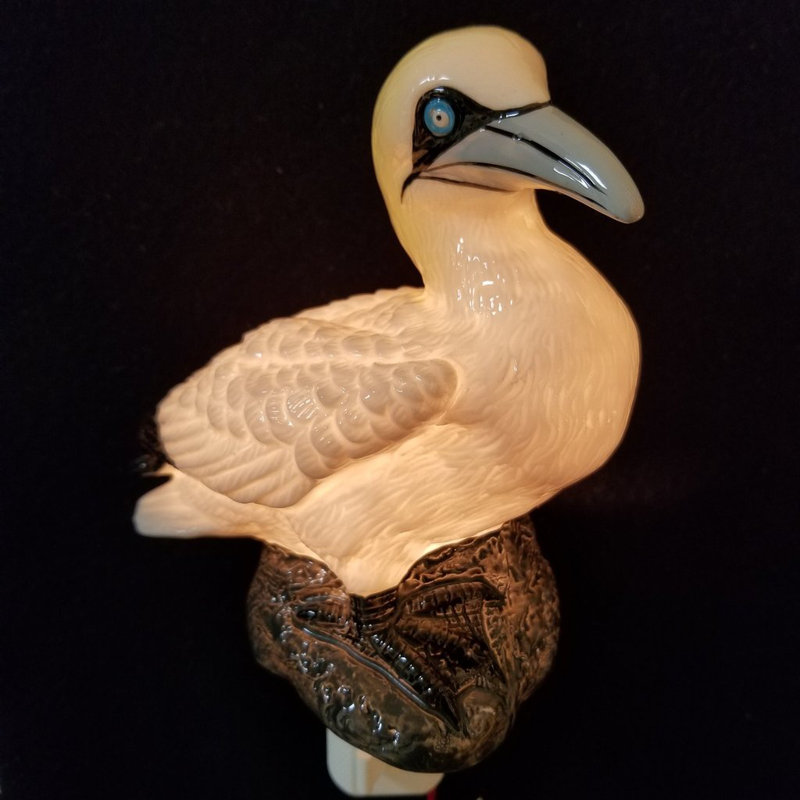 Éclairage de nuit gannet