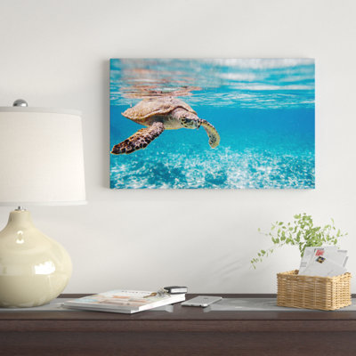 Landscape Large Hawksbill Sea Turtle Canvas Photograph - Hawksbill Sea Turtle